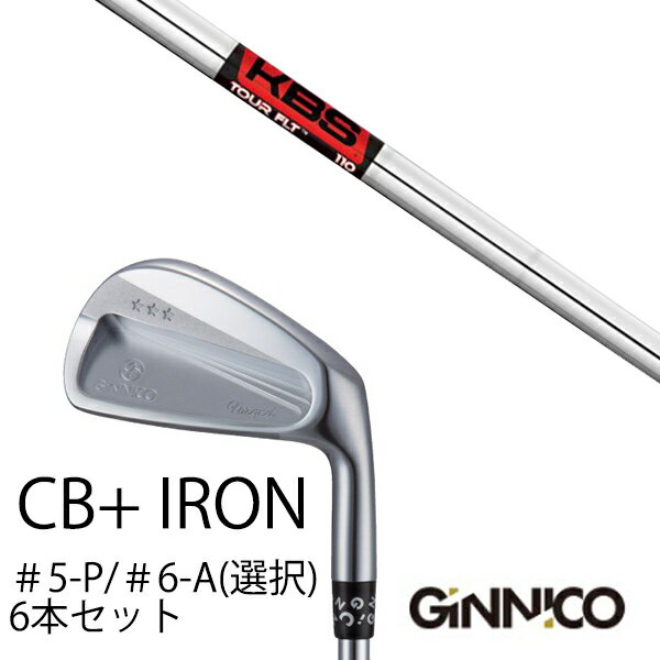 カスタムクラブ 6本セット / イオンスポーツ ジニコ GINNICO CB+ Iron #5-P ＃6-A 番手選択 / KBS FLT TOUR FLTツアー / EONSPORTS