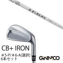 カスタムクラブ 6本セット / イオンスポーツ ジニコ GINNICO CB+ Iron #5-P #6-A 番手選択 / フブキAi2 フブキエ−アイツー 三...