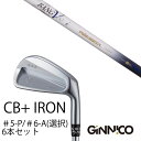 カスタムクラブ 6本セット / イオンスポーツ ジニコ GINNICO CB+ Iron #5-P #6-A 番手選択 / ムジーク ロンバックス バンブー プ...