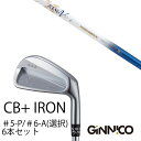 カスタムクラブ 6本セット / イオンスポーツ ジニコ GINNICO CB+ Iron #5-P #6-A 番手選択 / ムジーク ロンバックス バンブー プ...