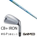 カスタムクラブ 5本セット / イオンスポーツ ジニコ GINNICO CB+ Iron #6-P / スチールファイバー Hツアー シリーズ トゥルーテンパー / EONSPORTS