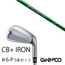 カスタムクラブ 5本セット / イオンスポーツ ジニコ GINNICO CB+ Iron #6-P / ワクチンコンポ GR351 WACCINEcompo G...