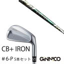 カスタムクラブ 5本セット / イオンスポーツ ジニコ GINNICO CB+ Iron #6-P / ワクチンコンポ GR350 WACCINEcompo G...