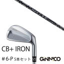 カスタムクラブ 5本セット / イオンスポーツ ジニコ GINNICO CB+ Iron #6-P / ワクチンコンポ GR451 WACCINEcompo G...