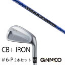 カスタムクラブ 5本セット / イオンスポーツ ジニコ GINNICO CB+ Iron #6-P / ワクチンコンポ GR561 WACCINEcompo G...
