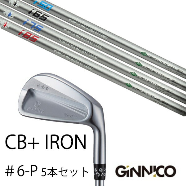樂天商城 - カスタムクラブ 5本セット / イオンスポーツ ジニコ GINNICO CB+ Iron #6-P / ファイヤーエクスプレス スピリッツ Fire Express Spirits / EONSPORTS