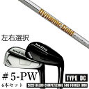 カスタムクラブ　【左右選択】 2023 BALDO バルド コンペチオーネ 568 アイアン タイプ ディシー DC #5-PW 6本セット ダイナミックゴールド 120 DG120 トゥルーテンパー