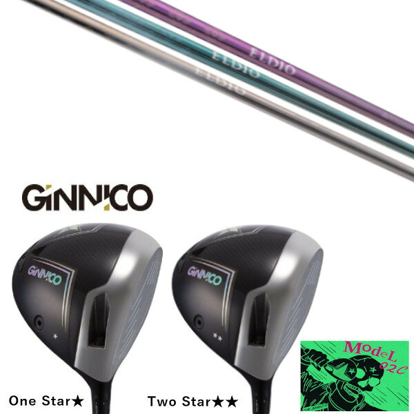 カスタムクラブ イオンスポーツ GINNICO MODEL02C DRIVER ジニコ モデル02C ドライバー 三菱ケミカル エルディオ ELDIO No.03 女性専用シャフト ヘッドカバー付き