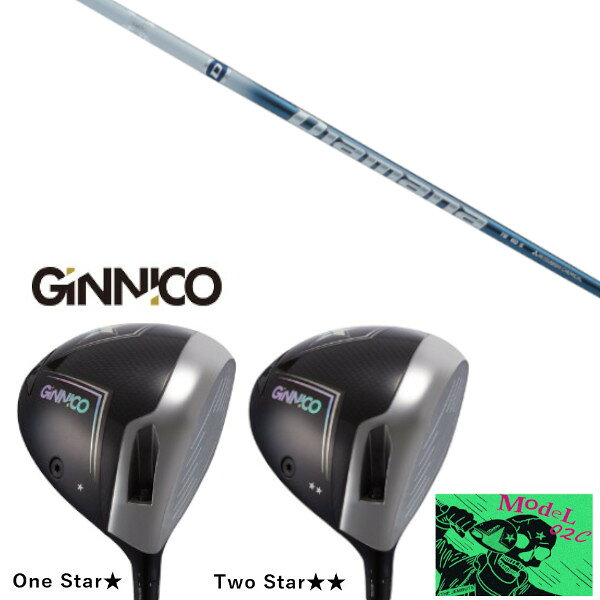 カスタムクラブ イオンスポーツ GINNICO MODEL02C DRIVER ジニコ モデル02C ドライバー 三菱ケミカル ディアマナ TB Diamana TB シャフト ヘッドカバー付き