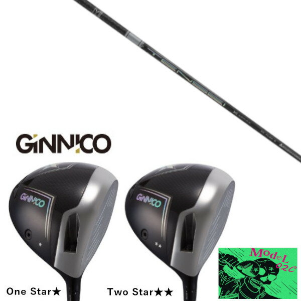 EON SPORTS - カスタムクラブ イオンスポーツ GINNICO MODEL02C DRIVER ジニコ モデル02C ドライバー 三菱ケミカル テンセイ プロ ホワイト 1K シャフト TENSEI Pro White 1K ヘッドカバー付き