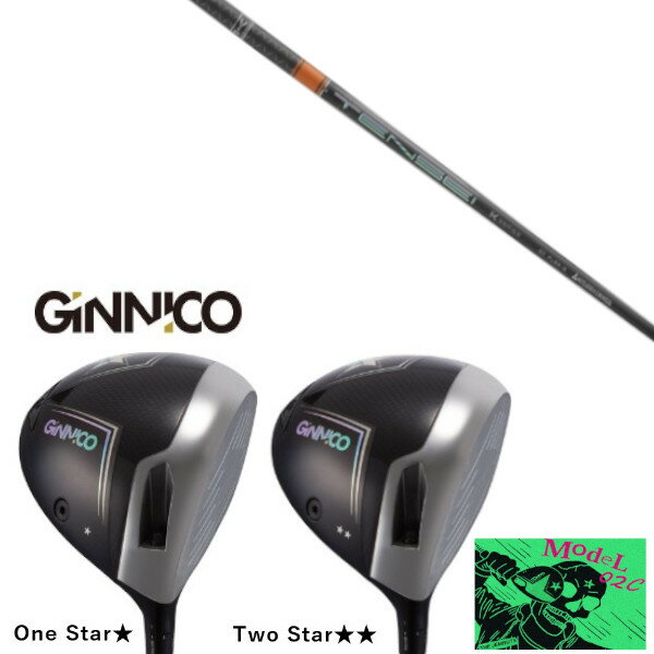 EON SPORTS - カスタムクラブ イオンスポーツ GINNICO MODEL02C DRIVER ジニコ モデル02C ドライバー 三菱ケミカル テンセイ プロ オレンジ 1K シャフト TENSEI CK Pro Orange 1K ヘッドカバー付き