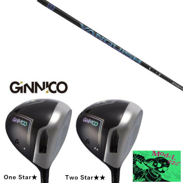 EON SPORTS - カスタムクラブ イオンスポーツ GINNICO MODEL02C DRIVER ジニコ モデル02C ドライバー 三菱ケミカル VANQUISH ヴァンキッシュ シャフト ヘッドカバー付き
