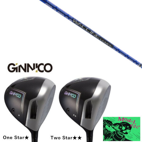 EON SPORTS - カスタムクラブ イオンスポーツ GINNICO MODEL02C DRIVER ジニコ モデル02C ドライバー グラヴィティ ワクチンコンポ WACCINE compo GR561 シャフト ヘッドカバー付き