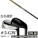 カスタムクラブ 【左右選択】 2023 BALDO バルド コンペチオーネ 568 アイアン タイプ ディシー DC #5-GW 7本セット バシレウス ビズ ...