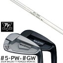 カスタムクラブ 2024年モデル バルド TT フォージドアイアンDC ツアーサテン ツアーブラック #5-GW 7本セット / K's-3001 ケーズ300...