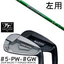 左用 カスタムクラブ 2024年モデル バルド TT フォージドアイアンDC ツアーサテン ツアーブラック #5-GW 7本セット / ワクチンコンポ GR35...