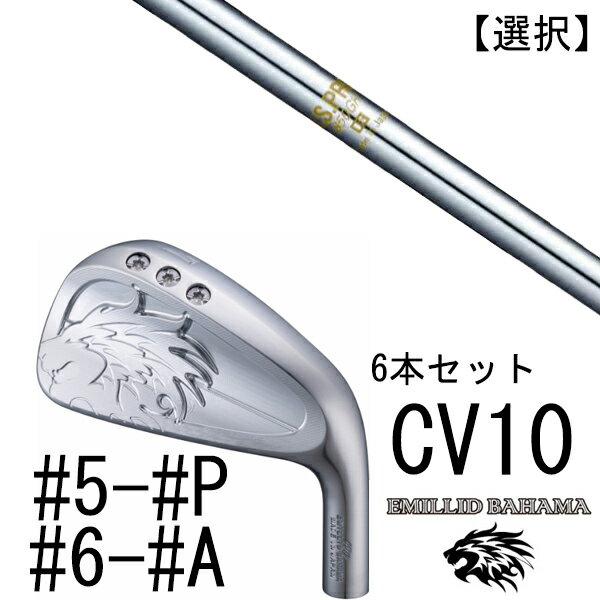 カスタムクラブ エミリットバハマ カールヴィンソン CV10 アイアン #5-#P #6-#A 6本セット 番手選択 / NSプロ 850GH エヌエスプロ 日本シャフト