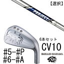 カスタムクラブ エミリットバハマ カールヴィンソン CV10 アイアン #5-#P #6-#A 6本セット 番手選択 / プロジェクX トゥルーテンパー