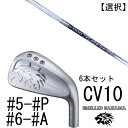 カスタムクラブ エミリットバハマ カールヴィンソン CV10 アイアン #5-#P #6-#A 6本セット 番手選択 / クレイジー CBI-9 CRAZY