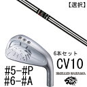 カスタムクラブ エミリットバハマ カールヴィンソン CV10 アイアン #5-#P #6-#A 6本セット 番手選択 / ELEVATE MPH 95 エレベイトMPH 95 トゥルーテンパー