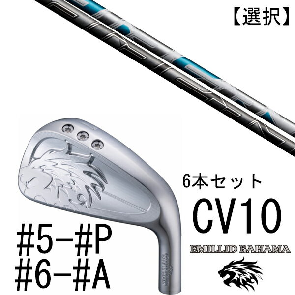 カスタムクラブ エミリットバハマ カールヴィンソン CV10 アイアン #5-#P #6-#A 6本セット 番手選択 / AIR SPEEDER エアスピーダー フジクラ