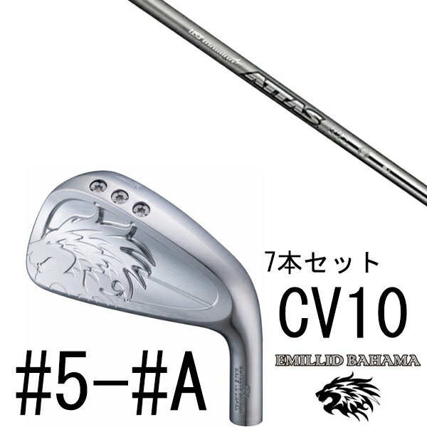 EMILLID BAHAMA カールヴィンソン CV10 アイアン 番手 #4/#5/#6/#7/#8/#9/#P/#A ロフト角 19°/21°/24°/27°/31°/35°/39°/43° ライ角 59°/60°/61°/62°/62.5°/63°/63.5°/63.5° 重量 240g/246g/252g/259g/266g/273g/280g/285g ヘッド価格 33,000円（税込）/ 本 ※製品には表示スペックと多少の誤差が生じる場合が 　ありますのでご了承下さい。 ※こちらの商品はオーダーメイドとなります。 　ご注文確定後、お客様のご要望に応じて 　カスタムいたします。 ※また、メーカー欠品等により、ご注文をキャンセル 　させていただくことが稀にございます。 　予めご了承願います。