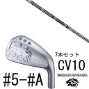 カスタムクラブ エミリットバハマ カールヴィンソン CV10 アイアン #5-#A 7本セット / バシレウス ビーティーアイ Basileus Tour Ir...
