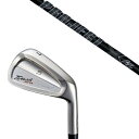 カスタムクラブ 共栄ゴルフ タイプS アイアン TYPE S IRON VINTAGE MODEL #4-PW プロジェクトX LZblack オールブラック ...