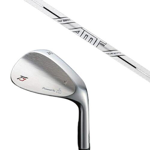 カスタムクラブ 共栄ゴルフ TJ STAR ONE スターワン トラディショナルモデル ウェッジ ダイナミックゴールド DG AMTツアーホワイト トゥルーテン...