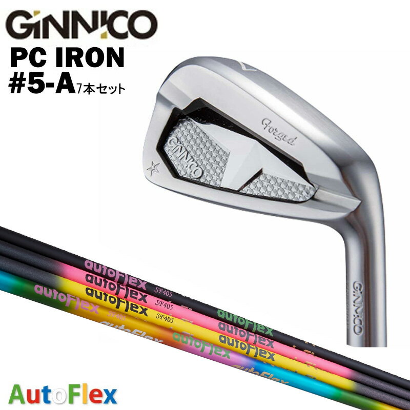 カスタムクラブ 【7本セット#5-A】 GINNICO ジニコ PC IRON アイアン AutoFlex オートフレックス アイアン シャフト