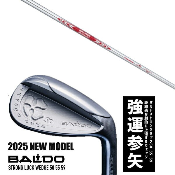 ९ 2025ǯǥ Х ȥ å å BALDO STRONG LUCK WEDGE / NSץ ⡼3 ĥ115 ...