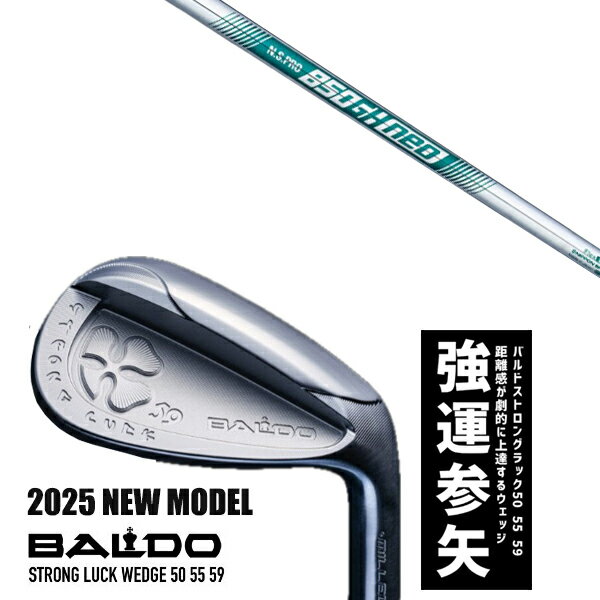 ९ 2025ǯǥ Х ȥ å å BALDO STRONG LUCK WEDGE / NSץ 850GHͥ ܥ...