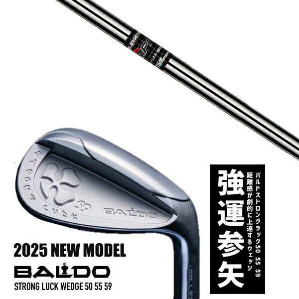 カスタムクラブ 2025年モデル バルド ストロング ラック ウエッジ BALDO STRONG LUCK WEDGE / エレベイトMPH 95 アイアン /...
