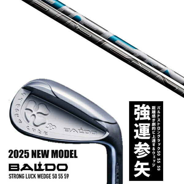 カスタムクラブ 2025年モデル バルド ストロング ラック ウエッジ BALDO STRONG LUCK WEDGE / エアースピーダー アイアンシャフト ...