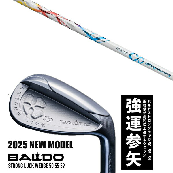९ 2025ǯǥ Х ȥ å å BALDO STRONG LUCK WEDGE / ӥ IX 饤  ...