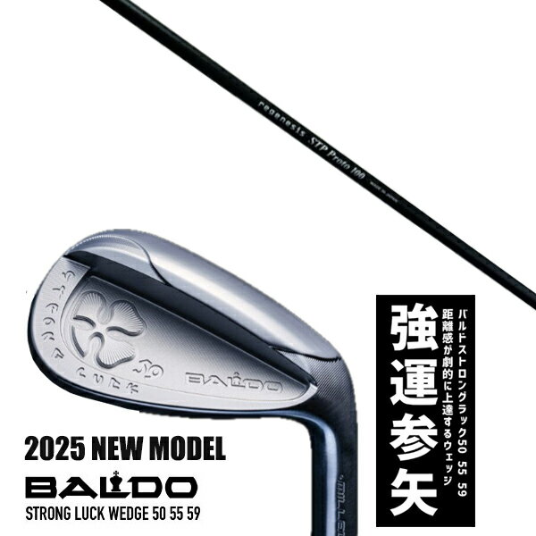 ९ 2025ǯǥ Х ȥ å å BALDO STRONG LUCK WEDGE / STPץ 쥤  ...
