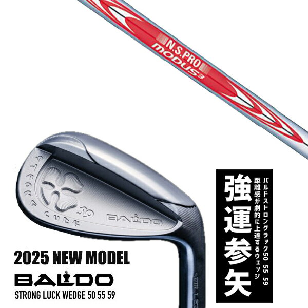 ९ 2025ǯǥ Х ȥ å å BALDO STRONG LUCK WEDGE / NSץ ⡼3 ĥ120 ...