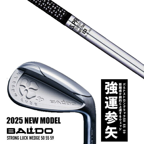 カスタムクラブ 2025年モデル バルド ストロング ラック ウエッジ BALDO STRONG LUCK WEDGE / NSプロ 750GH 日本シャフト ...
