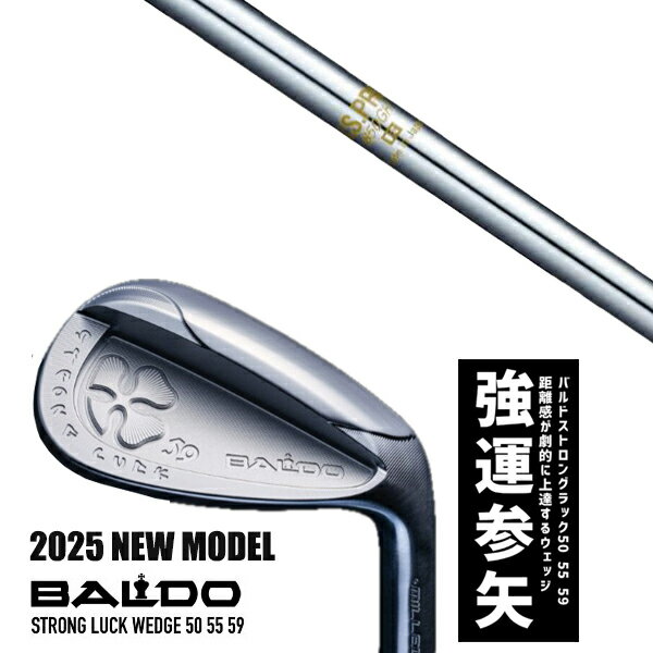 カスタムクラブ 2025年モデル バルド ストロング ラック ウエッジ BALDO STRONG LUCK WEDGE / NSプロ 850GH 日本シャフト アイアン / 5営業日以内の発送