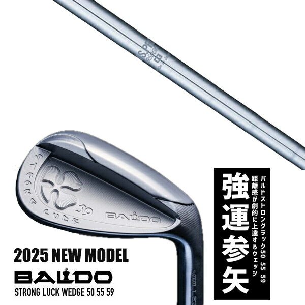 ९ 2025ǯǥ Х ȥ å å BALDO STRONG LUCK WEDGE / NSץ 950GH ܥե ...