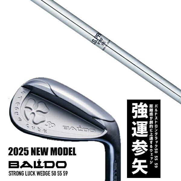 ९ 2025ǯǥ Х ȥ å å BALDO STRONG LUCK WEDGE / NSץ V90 ܥե ...