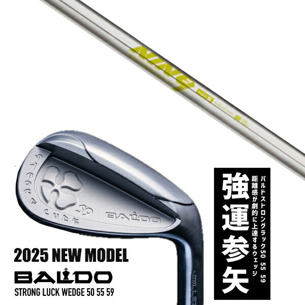 ९ 2025ǯǥ Х ȥ å å BALDO STRONG LUCK WEDGE / ʥ K's-NINE9 ...