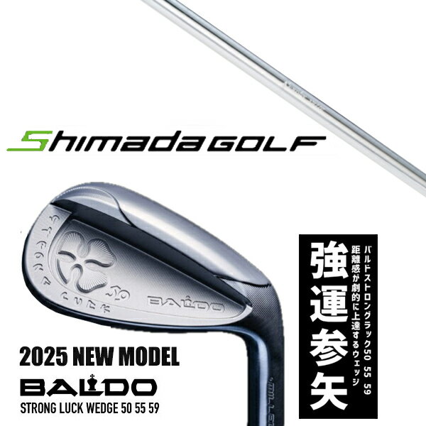 ९ 2025ǯǥ Х ȥ å å BALDO STRONG LUCK WEDGE /  å WH120 ĥ...