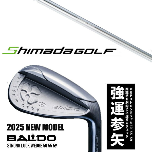 ९ 2025ǯǥ Х ȥ å å BALDO STRONG LUCK WEDGE /  å NW110 ĥ...