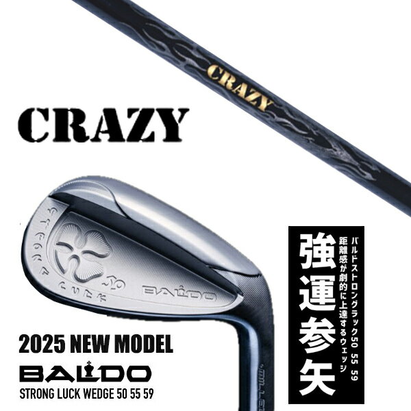 ९ 2025ǯǥ Х ȥ å å BALDO STRONG LUCK WEDGE / 쥤 ץ å / 5...