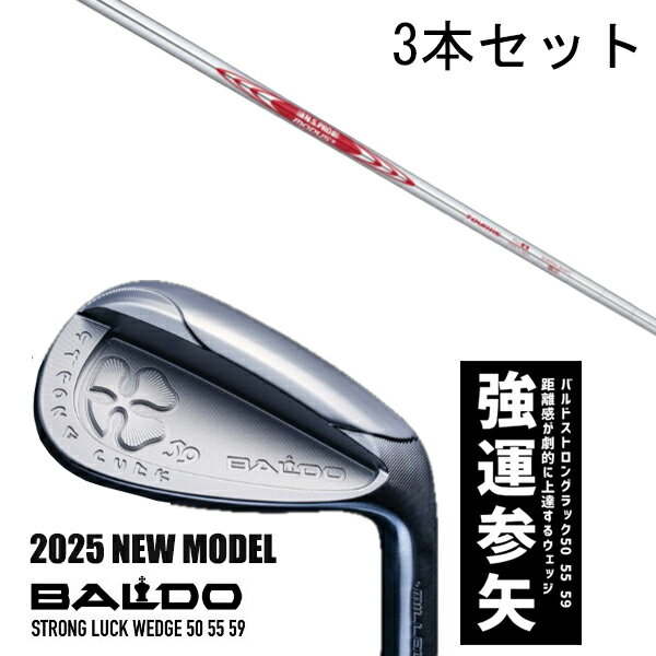 カスタムクラブ 【3本セット】 2025年モデル バルド ストロング ラック ウエッジ BALDO STRONG LUCK WEDGE / NSプロ モーダス3...
