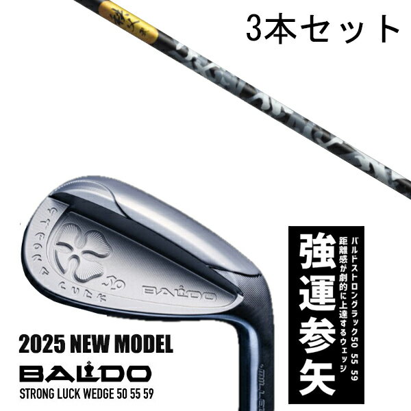 カスタムクラブ 【3本セット】 2025年モデル バルド ストロング ラック ウエッジ BALDO STRONG LUCK WEDGE / 秩父 弐 アイアン ...