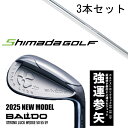 カスタムクラブ 【3本セット】 2025年モデル バルド ストロング ラック ウエッジ BALDO STRONG LUCK WEDGE / ケーズ ウエッジ W...