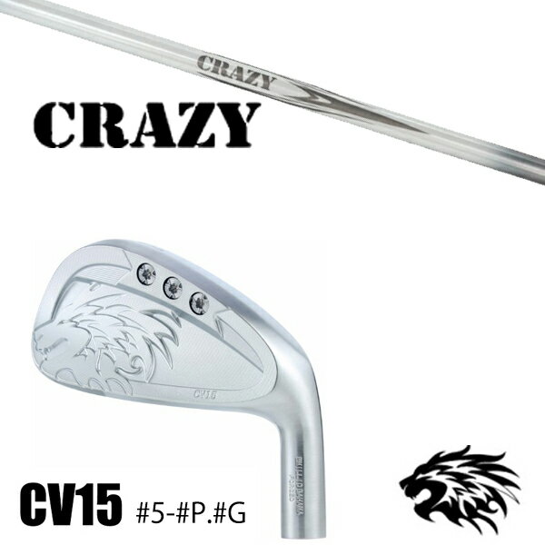 #5-#P.#G 7ܥå / ९ Ź ߥåɥХϥ ӥ󥽥 CV15  /  쥤 / 5Ķ...