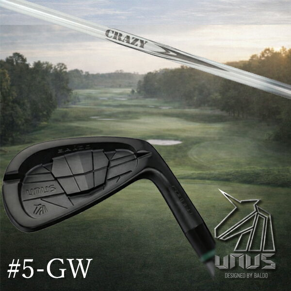 BALDO UNUS MODEL MCB FORGED IRON 番手 #5/#6/#7/#8/#9/PW/GW ロフト角 24°/27°/30°/34°/38°/42°/47° ライ角 60.5°/61°/61.5°/62°/62.5°/63°/63.5° ヘッド重量 254.0g/261.0g/268.0g/275.0g/282.0g/289.0g/296.0g FP値 3.8mm/3.8mm/4.0mm/4.0mm/4.1mm/4.1mm/4.1mm ●素材製法● 軟鉄鍛造（S20C）／CNC加工 ※製品には表示スペックと多少の誤差が生じる場合がありますのでご了承下さい。 ※こちらの商品はオーダーメイドとなります。ご注文確定後、お客様のご要望に応じてカスタムいたします。 ※また、メーカー欠品等により、ご注文をキャンセルさせていただくことが稀にございます。予めご了承願います。BALDO UNUS MODEL MCB FORGED IRON 番手 #5/#6/#7/#8/#9/PW/GW ロフト角 24°/27°/30°/34°/38°/42°/47° ライ角 60.5°/61°/61.5°/62°/62.5°/63°/63.5° ヘッド重量 254.0g/261.0g/268.0g/275.0g/282.0g/289.0g/296.0g FP値 3.8mm/3.8mm/4.0mm/4.0mm/4.1mm/4.1mm/4.1mm ●素材製法● 軟鉄鍛造（S20C）／CNC加工 UNUSアイアンのバックフェースに刻まれた“MATRIX CONTROL BLADE”は、 複雑な幾何学パターンと立体造形を融合させた精密構造です。 ブレード状に配置されたラインは、インパクトエネルギーを中央へ集め、 外側へ均一に分散させることで、方向性と安定性を高めます。 打点ブレを抑える構造強度、不要な振動を抑制するリブ配置、 反発均質化するエネルギーフロー設計。 これらが一体となることで、 プレミアムな打感と安定した飛びを生み出す“機能美のブレード”として機能しています。 オフセンターヒットそのものを感じさせない。 “ミスに強い”というより、ミスヒットが起こりにくくなる設計。 その新しい安定感を、UNUS FORGED IRON でぜひ体感してください。 ※製品には表示スペックと多少の誤差が生じる場合がありますのでご了承下さい。 ※こちらの商品はオーダーメイドとなります。ご注文確定後、お客様のご要望に応じてカスタムいたします。 ※また、メーカー欠品等により、ご注文をキャンセルさせていただくことが稀にございます。予めご了承願います。
